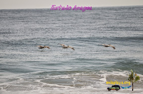 playas nudistas de valencia Playa Cuyagua