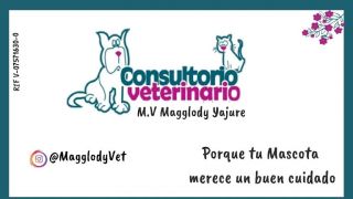 clinicas perros valencia Consultorio Veterinario Magglody Yajure