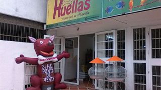 tiendas de animales en valencia Inversiones Huellas J,G. C.A
